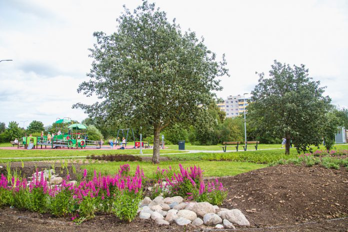 Vormsi roheala käsnapeenar