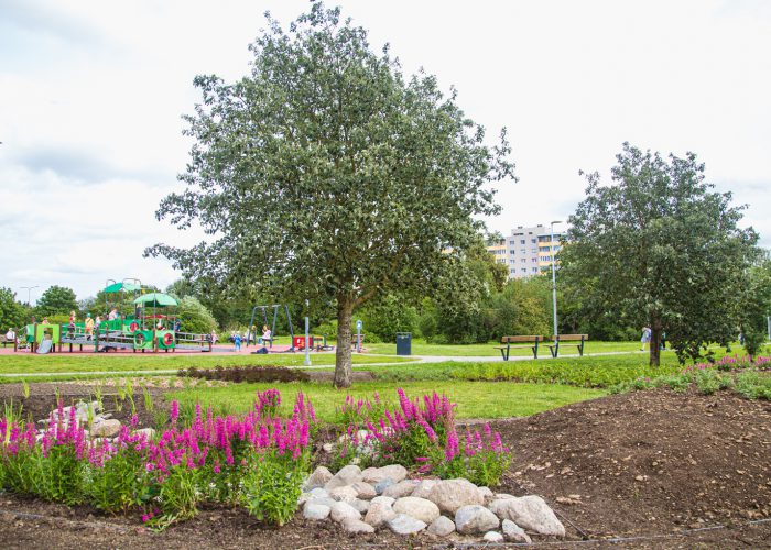 Tallinn otsib partnerit Vormsi roheala rajamiseks Lasnamäele