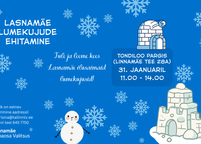 Ласнамяэ приглашает жителей на строительство снежных скульптур