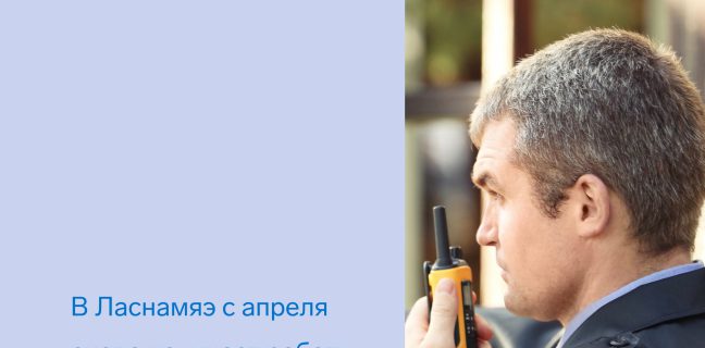 В Ласнамяэ с апреля снова начинает работу патрульная фирма
