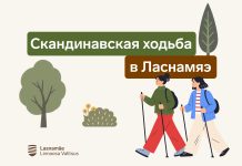 В Ласнамяэ пройдут бесплатные тренировки по скандинавской ходьбе