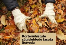 Lasnamäel algab korteriühistute sügislehtede tasuta äravedu
