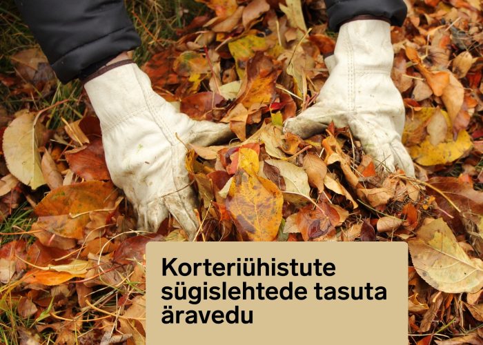 Lasnamäel algab korteriühistute sügislehtede tasuta äravedu