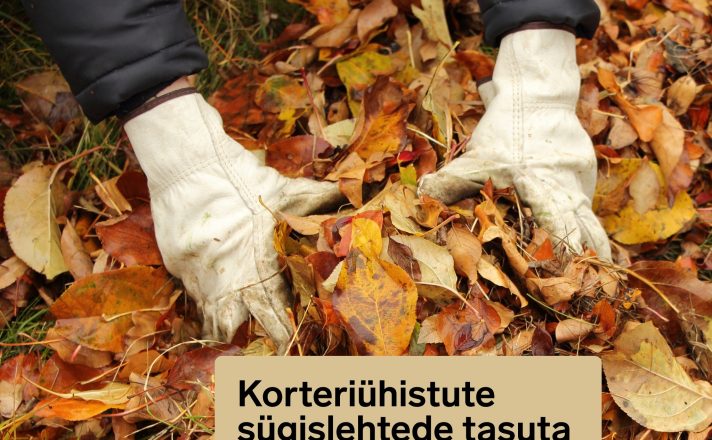 Lasnamäel algab korteriühistute sügislehtede tasuta äravedu