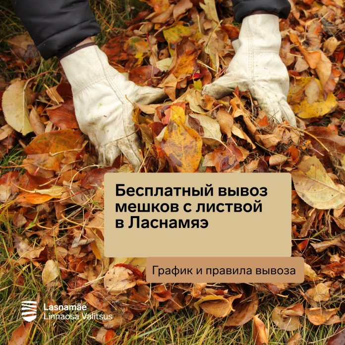 Бесплатный вывоз мешков с листвой_Автор_ Управа района Ласнамяэ